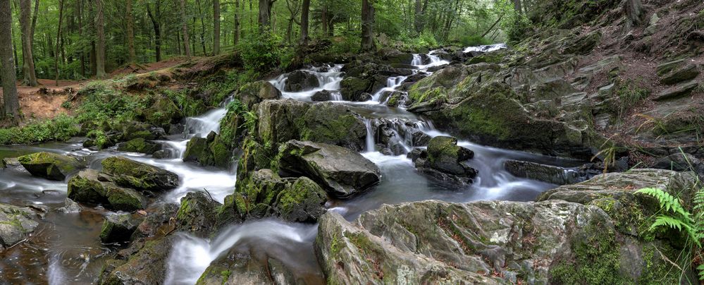 Selkefall  -  Panorama 