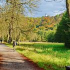 Selketal mit Burg Falkenstein