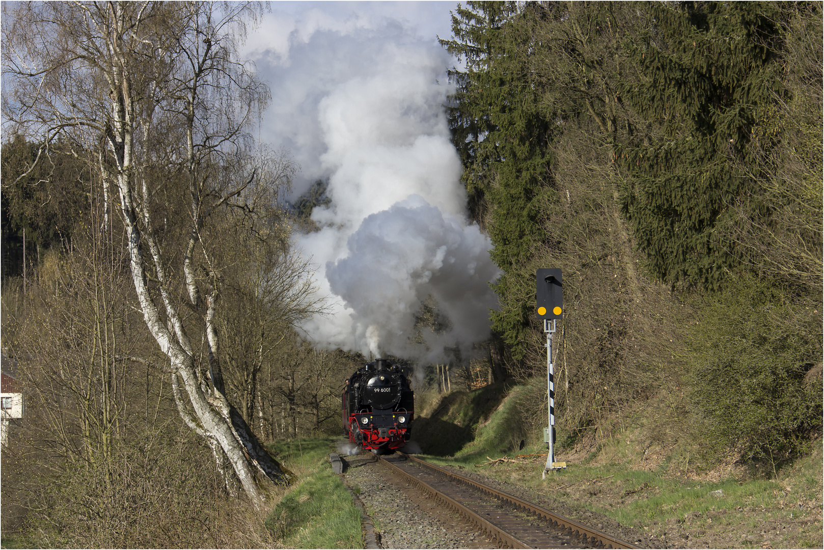 Selketalbahn #103