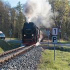 Selketalbahn #3 (28.04.2017)