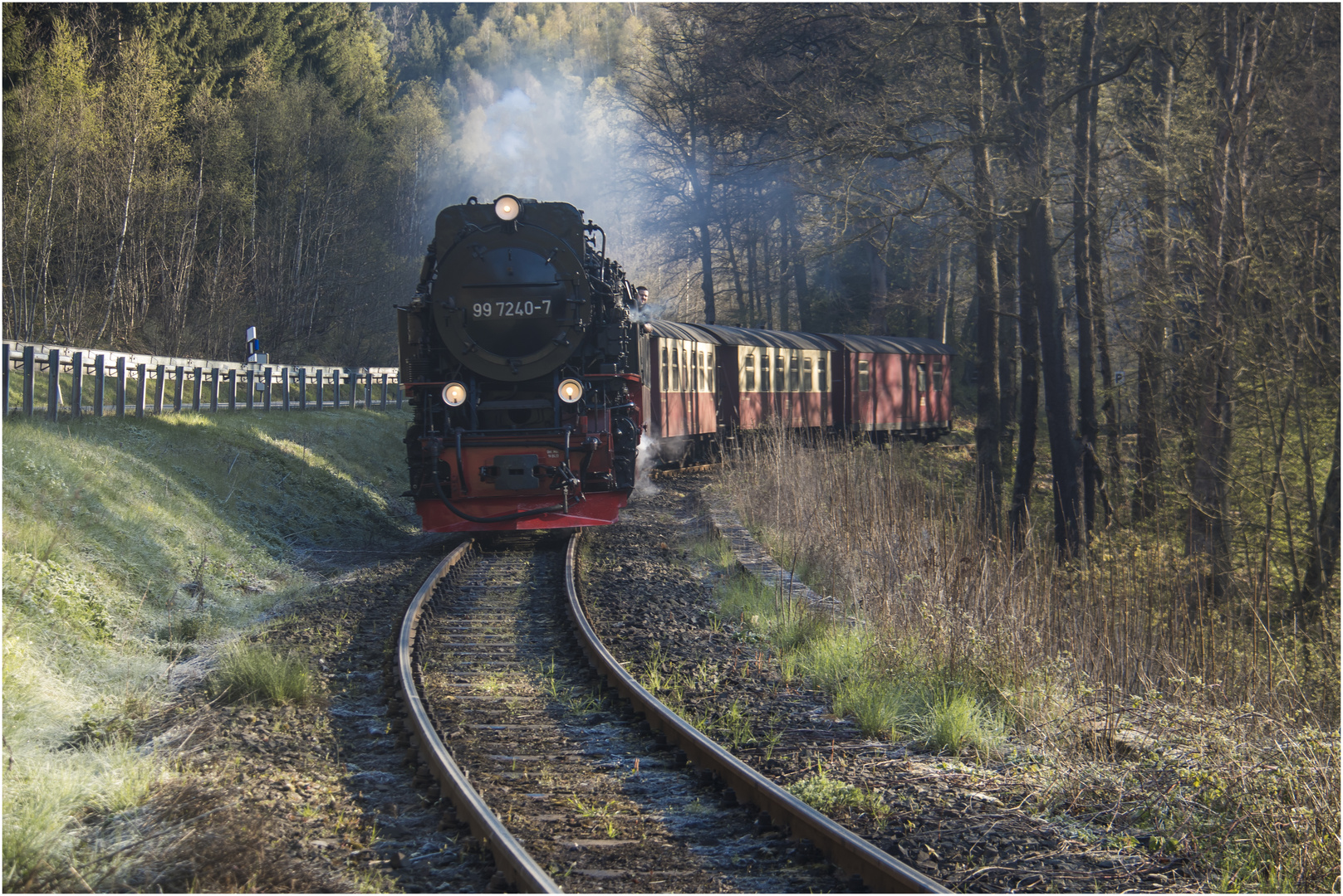 Selketalbahn #4 (28.04.2017)