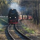 Selketalbahn #4 (28.04.2017)