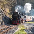 Selketalbahn #6 (28.04.2017)