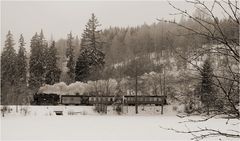 Selketalbahn - Am Heiligenteich