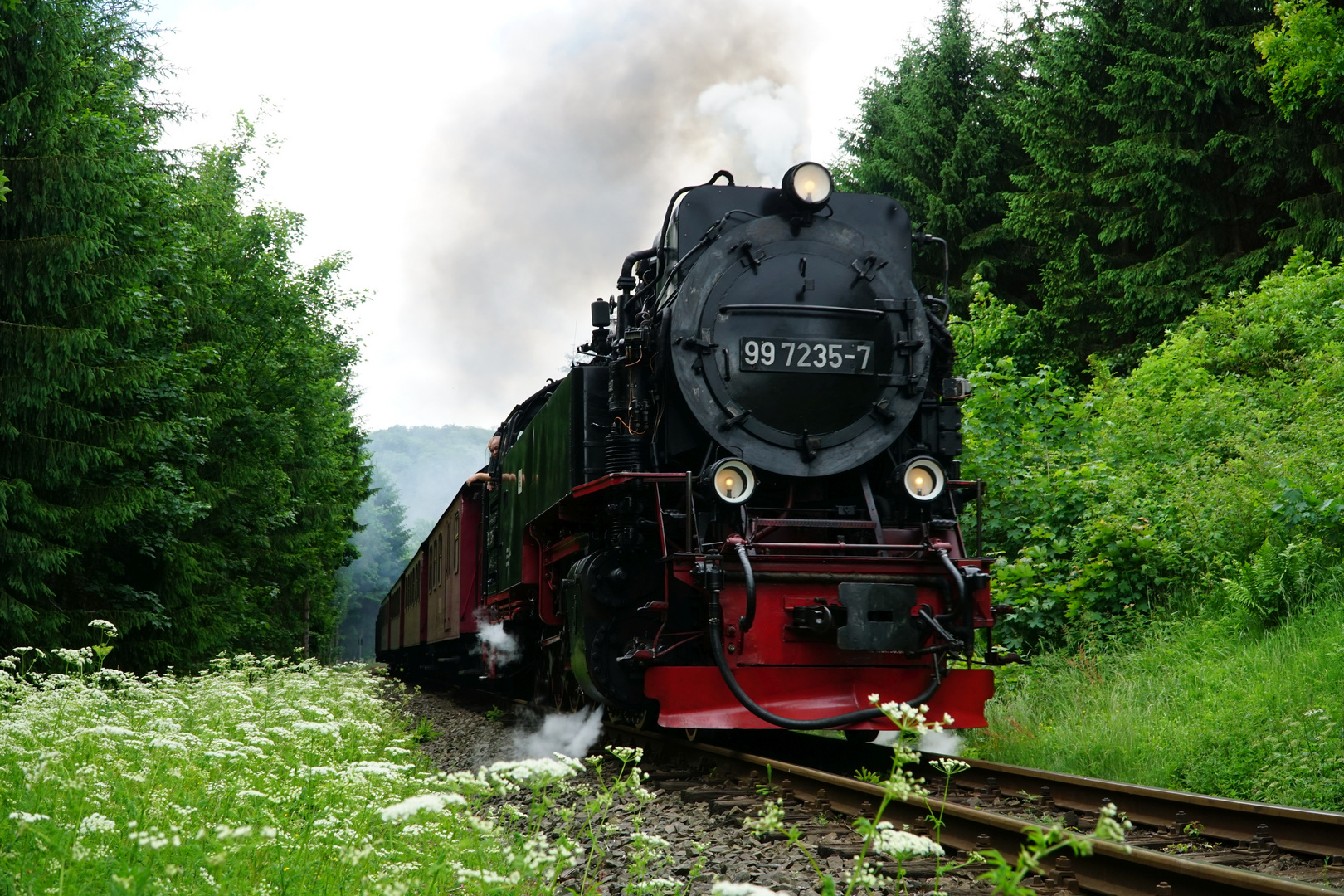 Selketalbahn bei Güntersberge