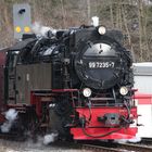 Selketalbahn - Dampflokomotive im Bhf. Mägdesprung