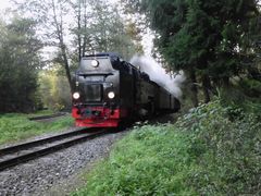 Selketalbahn kurz vor Silberhütte