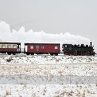 Selketalbahn mit Harz-Mallet