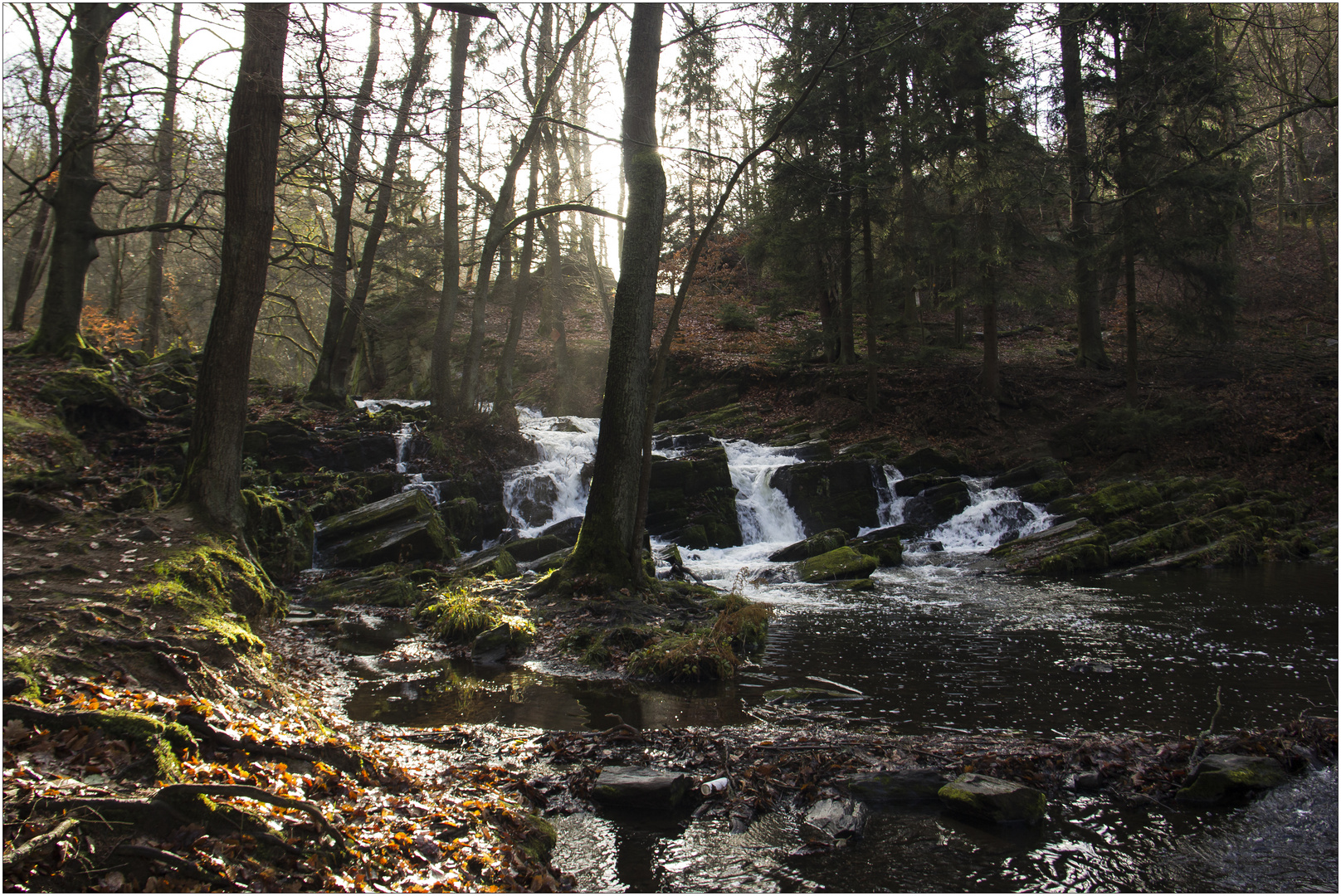 Selkewasserfall (17.11.2017)