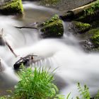 Selkewasserfall im Harz