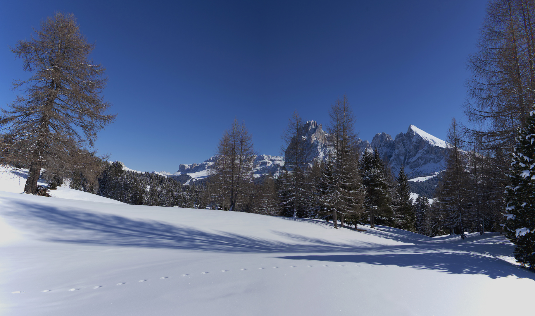 Sella und Langkofel