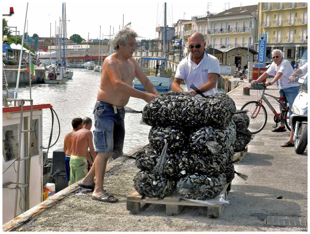 Seller of mussels