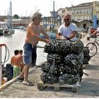 Seller of mussels