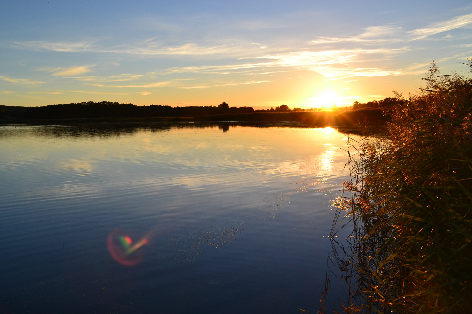 Selliner See