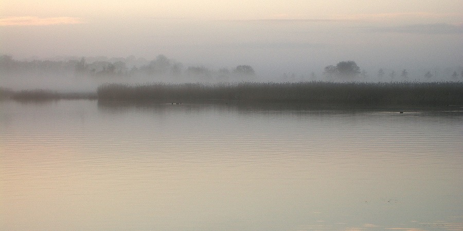 Selliner See