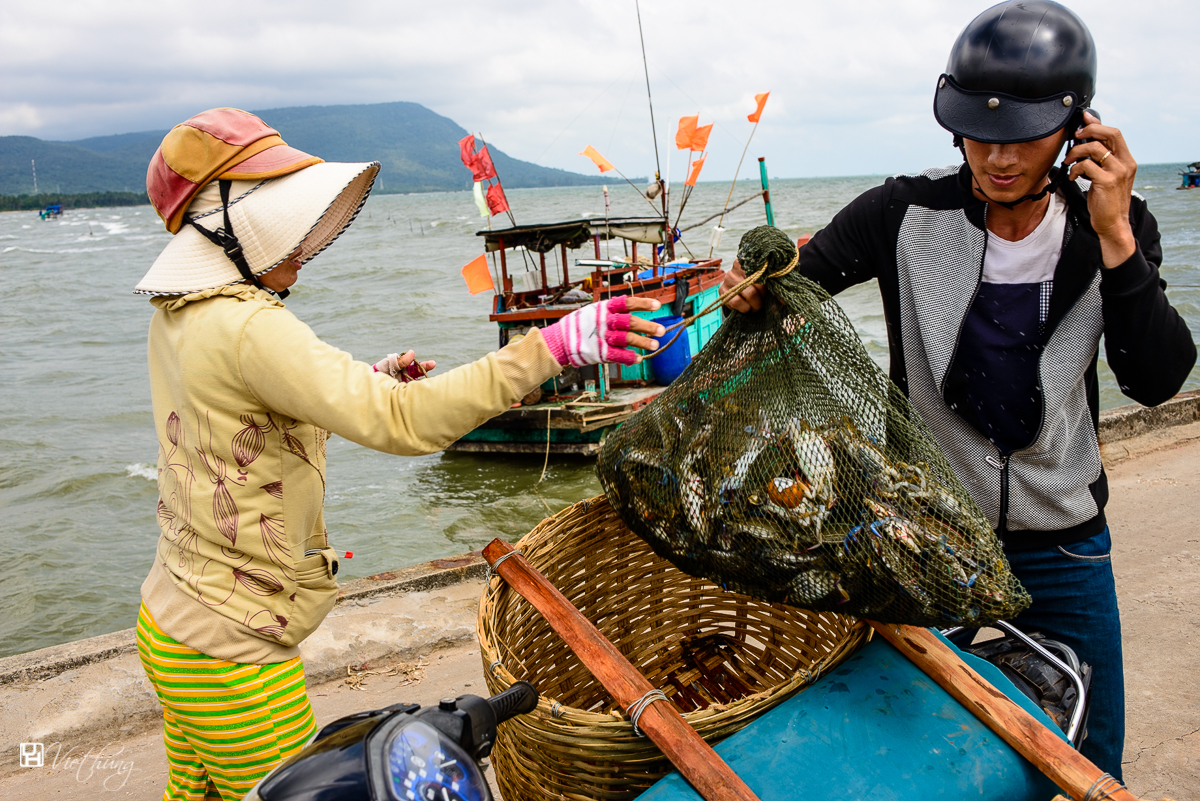 Selling and buying seafoods