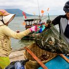 Selling and buying seafoods