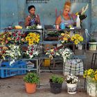 Selling flowers in Havana China Town Barrio Chino