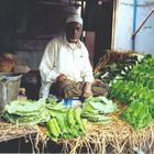 Selling paan leaves