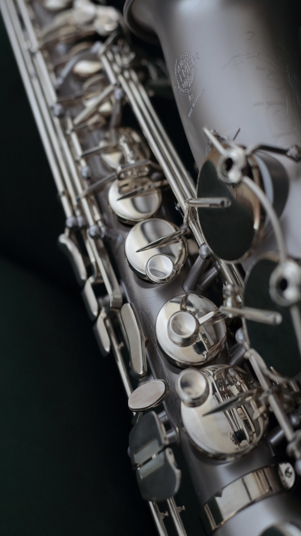 Selmer "Limited" Alto-Sax