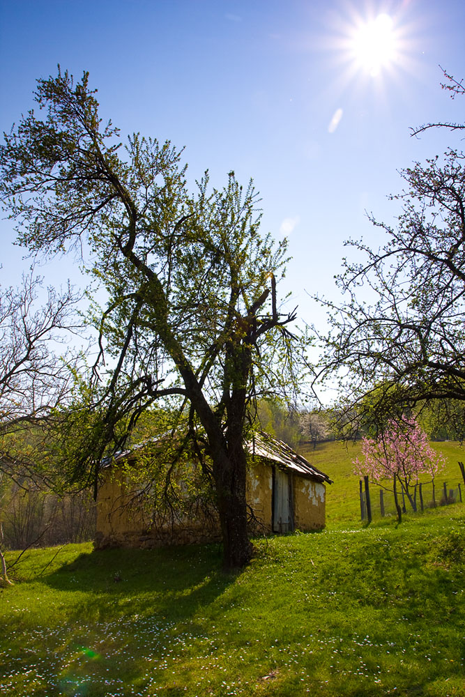 Selo Konjic