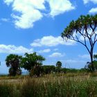 Selous-Park...noch so unberührt