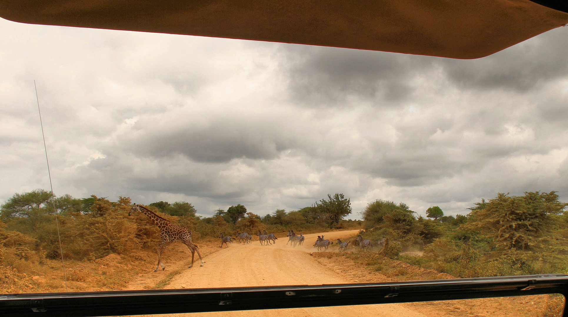 Selous vom Weltnaturerbe zur Baustelle