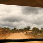 Selous vom Weltnaturerbe zur Baustelle