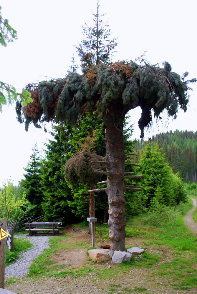 selsamer Baumschnitt