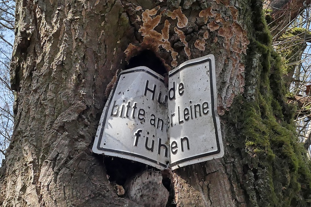 Selten beachtet: „Hunde bitte an der Leine führen“