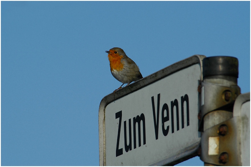 Selten fand ich einen netteren Wegweiser...