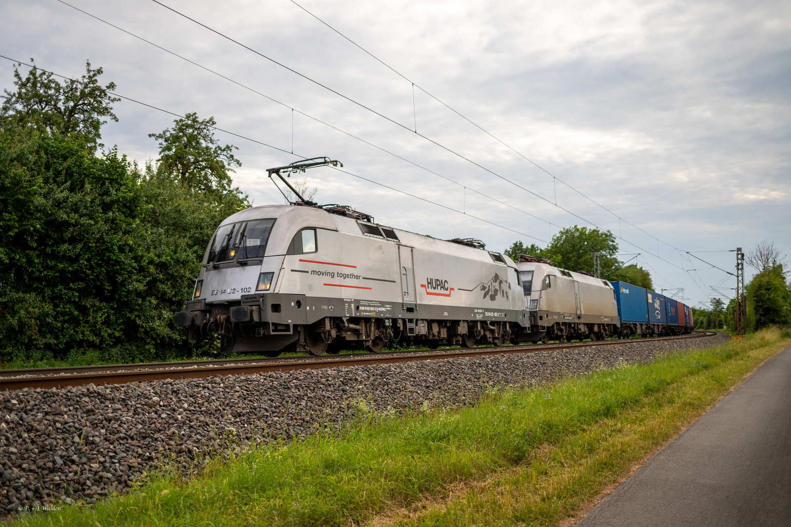 Seltene Gäste im Paderborner Land