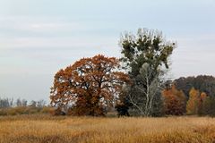 Seltene Lebensräume