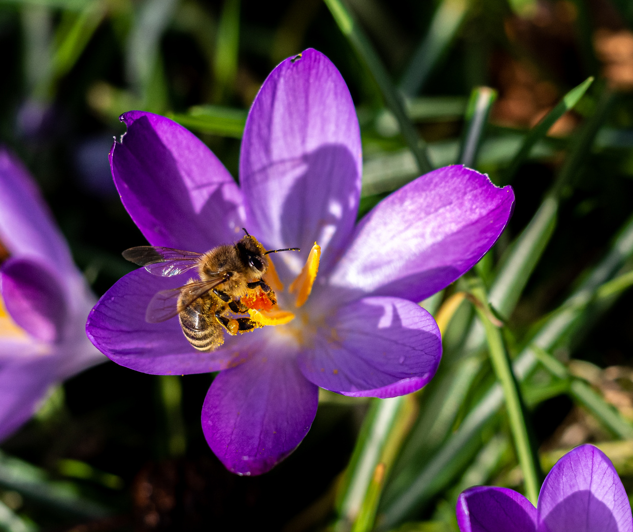 Seltene Sonnenstunden