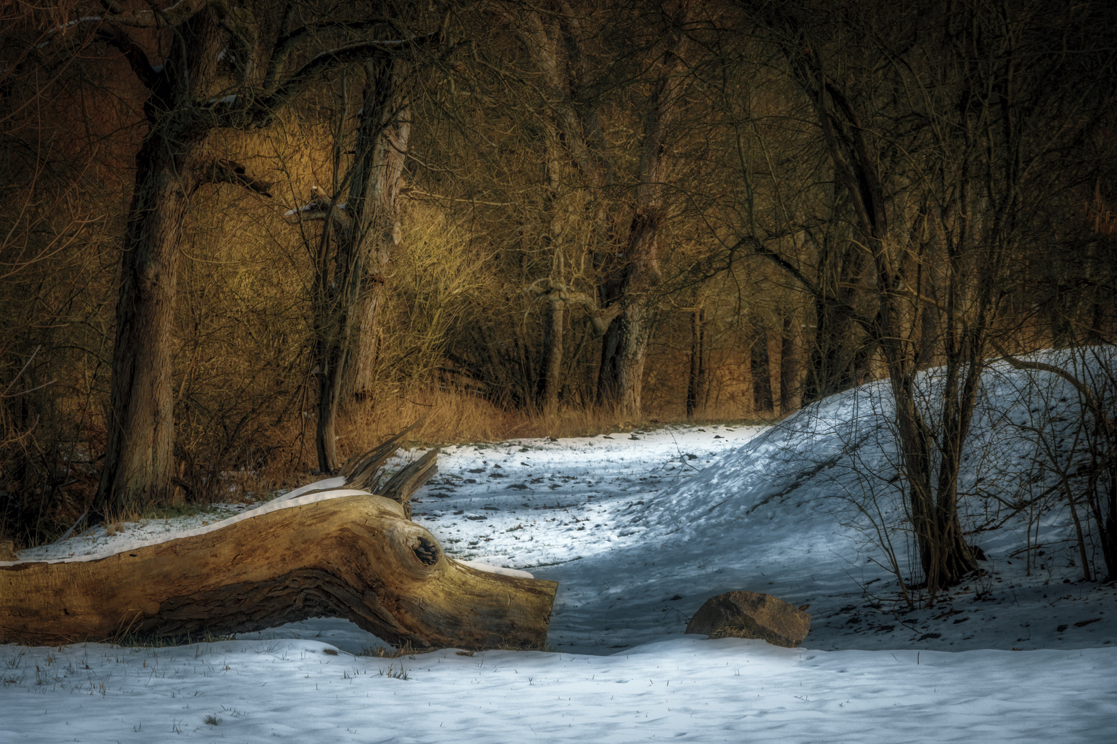 Seltene Tiere in der Uckermark