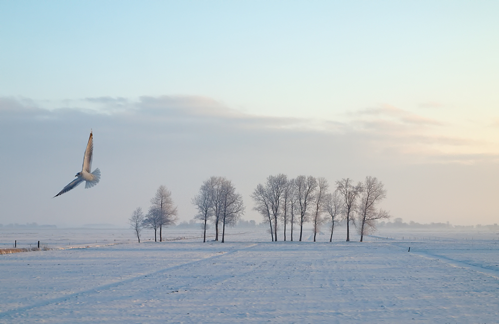 Seltener Anblick