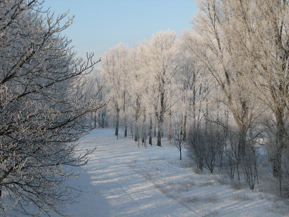 Seltener Anblick im Rheinland