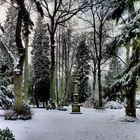 Seltener Anblick in Köln