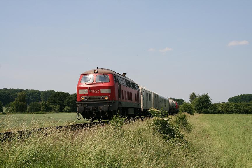 seltener Gast am Niederrhein