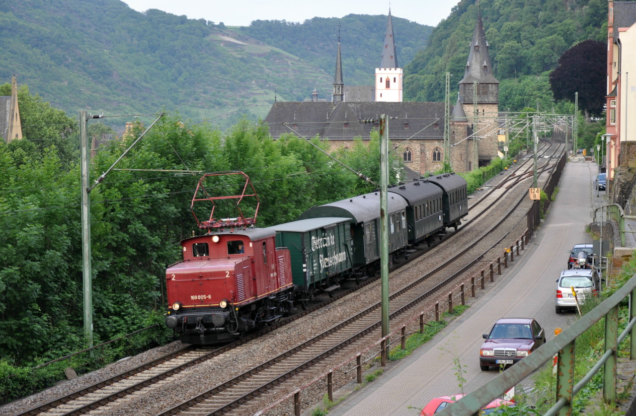 Seltener Gast am Rhein