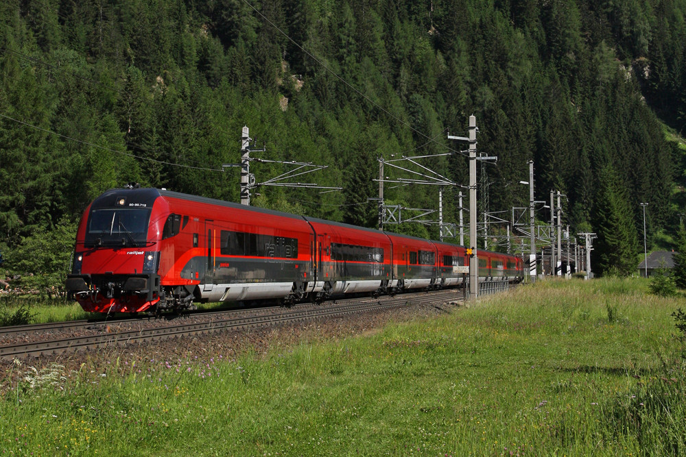 Seltener Gast am Tauern