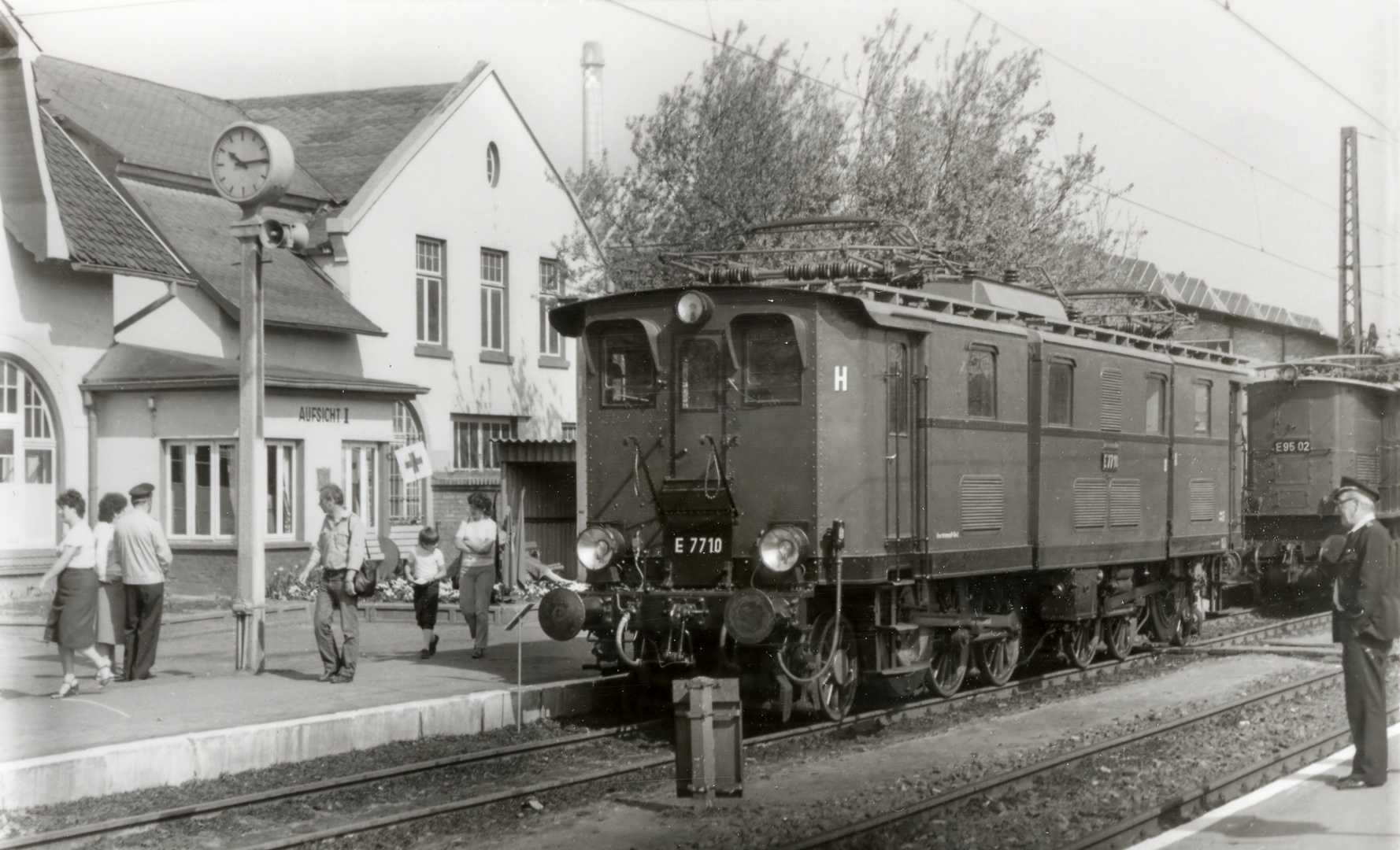 Seltener Gast in Blankenburg/Harz