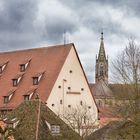 Seltener Münsterblick