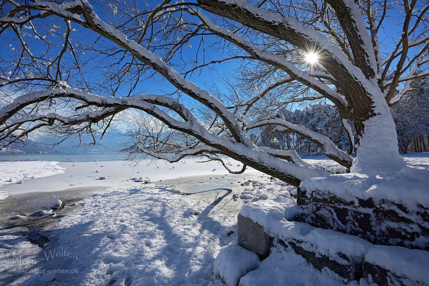 Seltener Schnee am Thunersee