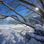 Seltener Schnee am Thunersee