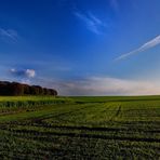 Selten(er) schöner Novembertag