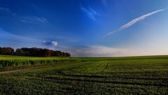 Selten(er) schöner Novembertag