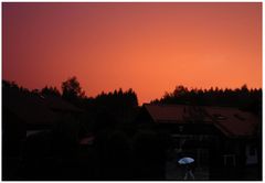 seltenes Abend - Rot