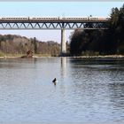 Seltenes auf der Brücke