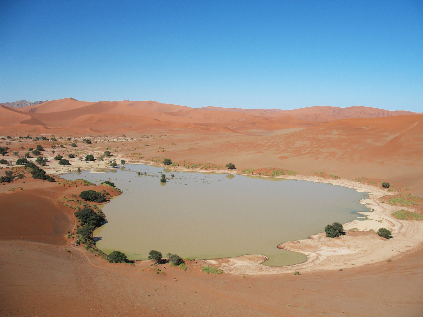 Seltenes Schauspiel - Wasser in der Namib-Wüste